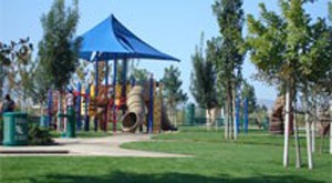 Playground slide at Briarwood Park