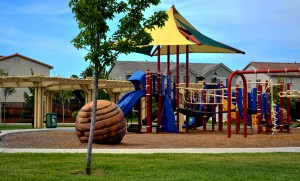 Playground photo at Riata Park