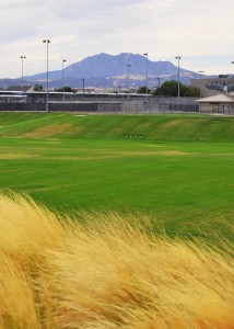 Decorative photo of grass at Freedom High School Basin