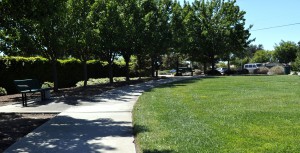 Grass and path at Main Street Park