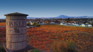 Photo taken from the sky of orange and yellow grape vines with the brown City of Oakley faux water tower